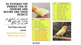 26 BEST PAIRINGS TO PRODUCE CREMINO AND DECINO LOVEBIRD [upl. by Magnien98]