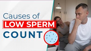 Causes of Low Sperm Count  Oligospermia Natural Treatment  Dr Health [upl. by Ennaus]