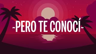 Reik  Pero Te Conocí LetraLyrics [upl. by Ilahsiav2]