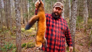 Off Grid Wilderness Trapping in Maine [upl. by Hawkie562]