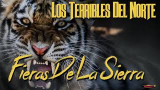 Los Terribles Del Norte  Corrido Fieras De La Sierra Audio Oficial [upl. by Lenra]