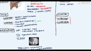 Hepatic Abscess or Liver Abscess Pyogenic Hydatid Amoebic abscess [upl. by Ahsimat24]