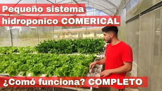 Sistema hidroponico COMERCIAL pequeño NFT ¿cómo funciona un sistema hidroponico [upl. by Arnoldo]