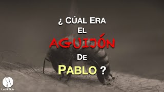 ¿Cuál Era El Aguijón De Pablo En La Carne  Preguntas Bíblicas  PampR [upl. by Dorsy]