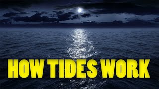 How Do TIDES Work l Learn all about TIDES [upl. by Horan761]