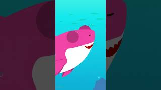 Five Little Baby Shark  Part 4  Little Fish Tales  babyshark fish shorts [upl. by Gregorio]