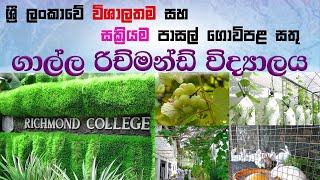 ගාල්ල රිච්මන්ඩ් විද්‍යාලයේ පාසල් ගොවිපොළ ශ්‍රී ලංකාවේ විශාලතම සහ සක්‍රියම පාසල් ගොවිපොළ [upl. by Sihtnyc]