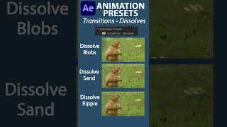 Dissolve Transitions in Adobe After effects Animation Presets adobeaftereffects [upl. by Poliard]