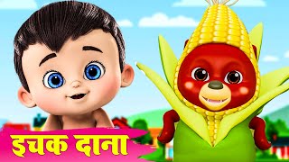 Ichak Dana Bichak Dana  इचक दाना बिचक दाना  Hindi Riddle Song  Hindi Rhymes by ANAYA RHYMES [upl. by Ardnuas]