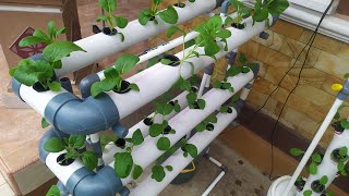 How to make vertical hydroponic system at home Part 1  hydroponic farming at home [upl. by Naelopan]