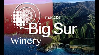 Run Windows App under MacOs big sur by wineskin  2021 Mar Detailed [upl. by Aruabea]