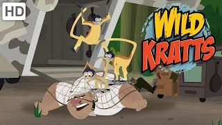 Wild Kratts  Animals Fight Back 30 MINUTES [upl. by Eiznikcm602]