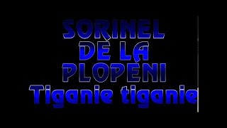 SORINEL DE LA PLOPENI TIGANIE TIGANIE [upl. by Oinotnas]