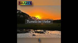 ipcc tumelo ke thebe lyrics [upl. by Buckie]