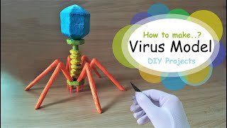 How to make Bacteriophage Virus 3d Model using Thermocol [upl. by Mackie]