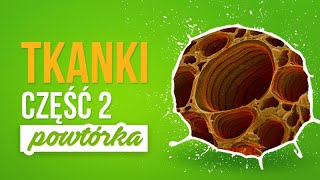 TKANKI cz 2  Powtórka z biologii [upl. by Orutra89]