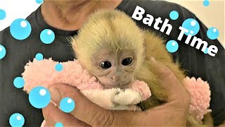 Baby Monkey Takes her Very First Bath ❤️❤️❤️ [upl. by Kylie]