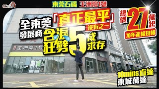 全東莞最平總價27萬  70年產權現樓【東莞石碣  王洲灣1號】發展商含淚狂劈5成求存  10分鐘直達東城萬達【寰宇筍盤  上市公司附屬機構】大灣區物業 投資大灣區 粵港澳大灣區 [upl. by Anitsyrhc]