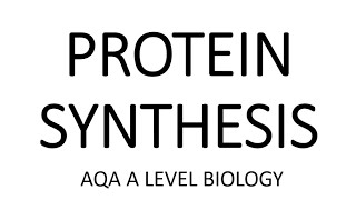 PROTEIN SYNTHESIS  AQA A LEVEL BIOLOGY  EXAM QUESTION RUN THROUGH [upl. by Dnumyar]