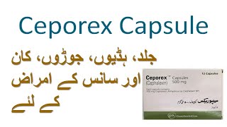 ceporex capsule 500mg uses  ceporex  cephalexin [upl. by Anawd]