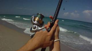 Surf Fishing  How to Cast a Surf Rod [upl. by Borchers]