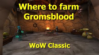 Where to farm GromsbloodHerbalism Guide for WoW Classic [upl. by Theodore]