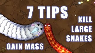 7 Tips to Kill Large Snakes and Gain Mass Little Big Snake Game Tutorial [upl. by Bala]