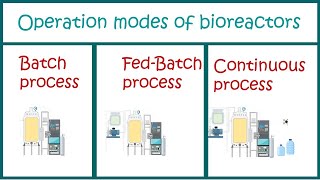 Types of Bioprocesses  Batch  Fed Batch and Continuous processes [upl. by Hennahane487]