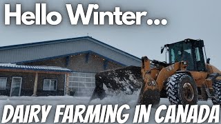 Winter Hit The Farm HARD This Is How We Did [upl. by Zarger625]