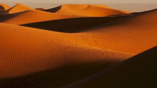 Dune Ambient Music  Hans Zimmer [upl. by Griff420]