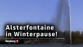 Wechsel auf der Binnenalster Bald kommt die weihnachtliche Alstertanne [upl. by Redla376]