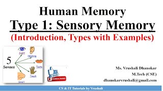 HCI 23 Type 1 Sensory Memory Iconic Echoic and Haptic Memory with Examples [upl. by Byrn]