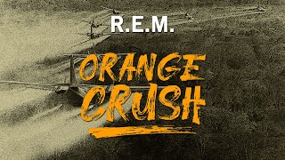 🌺 REM  Orange Crush [upl. by Sonitnatsnoc]