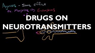 The Influence of Drugs on Neurotransmitters  AP Psychology [upl. by Couq941]