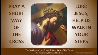 Pray the Stations of the Cross A Short Way of the Cross [upl. by Henning261]