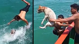 Un chien nage pour la première fois dans la mer  observez ses réactions [upl. by Filmore]