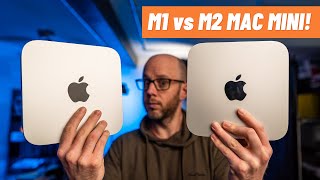 M2 Mac mini vs M1 Mac mini  VIDEO TEST [upl. by Anitra]