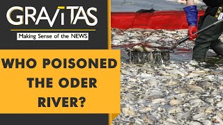 Gravitas 100 tonnes of dead fish pulled out of Europes Oder river [upl. by Eile726]