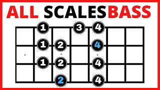 ✅ Bass Guitar Scales for Beginners 💥【All You Need to Know】✅ Bass Scales Patterns [upl. by Ambrosia]