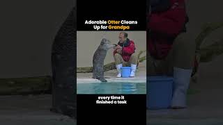 Adorable Otter Cleans Up for Grandpa 🦦👴 [upl. by Jempty]