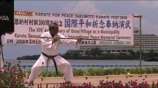 Kata KAATIN NO KON  Ryueiryu Kobudo Okinawa [upl. by Ahsinej850]