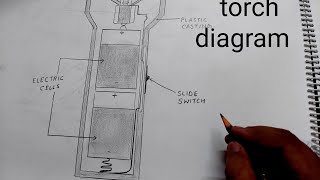 Online tutorial 21 Drawing highpower biological diagrams [upl. by Julian615]