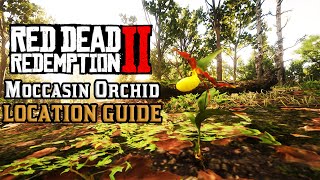 All 10 Moccasin Orchid  Location Guide  Red Dead Redemption 2 [upl. by Nongim87]