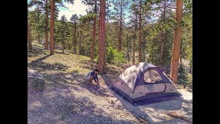 McWilliams Campground Mt Charleston NV [upl. by Maridel967]