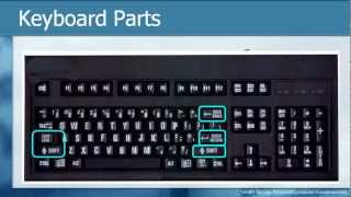 Learn THE KEYBOARD Techniques  Basic Personal Computer Tutorials How to [upl. by Stanwinn519]