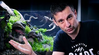 STUNNING PLANTED AQUARIUM LAYOUT  60P TUTORIAL [upl. by Syst11]