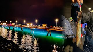 Puget sound squid fishing tips for beginners  Squid fishing in Washington State [upl. by Na]