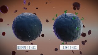 A Look at How CART Cell Therapy Works [upl. by Idieh]