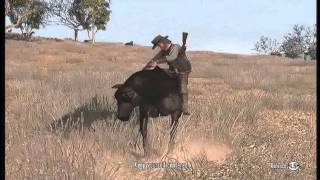 Red dead redemption how to get the best horse [upl. by Blood]