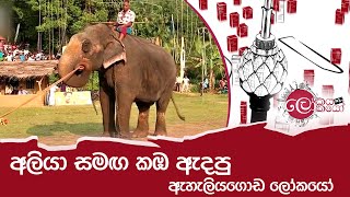 අලියා සමඟ කඹ ඇදපු ඇහැලියගොඩ ලෝකයෝ  LOKAYA SAHA LOKAYO [upl. by Welton]